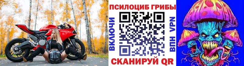 Галлюциногенные грибы Cubensis  Купить где  Кузнецк 